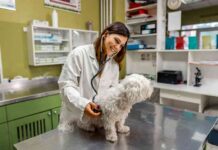 Elanco’s Growth Outlook: 6 Blockbusters Drive Solid Performance news-29072024-140715