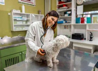 Elanco’s Growth Outlook: 6 Blockbusters Drive Solid Performance news-29072024-140715