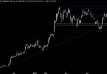 Bitcoin Price Analysis: Ready for a New All-Time High with Autopilot | Forexlive news-29072024-140954