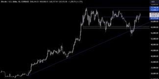 Bitcoin Price Analysis: Ready for a New All-Time High with Autopilot | Forexlive news-29072024-140954