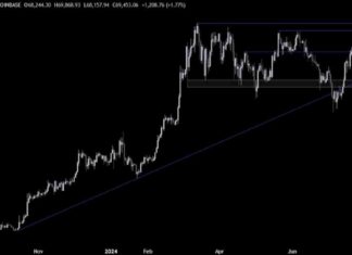 Bitcoin Price Analysis: Ready for a New All-Time High with Autopilot | Forexlive news-29072024-140954