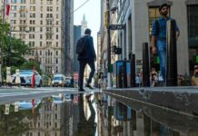 Wall Street Rejoices: Positive News Boosts Market Sentiment news-29072024-141805