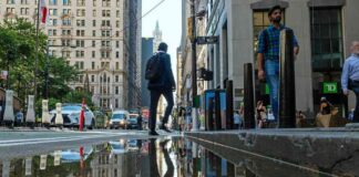 Wall Street Rejoices: Positive News Boosts Market Sentiment news-29072024-141805