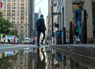 Wall Street Rejoices: Positive News Boosts Market Sentiment news-29072024-141805