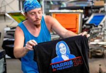 Optimal Performance of Swing-State Economies: A Closer Look news-05082024-164207