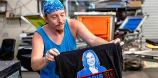 Optimal Performance of Swing-State Economies: A Closer Look news-05082024-164207