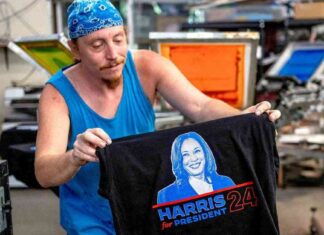 Optimal Performance of Swing-State Economies: A Closer Look news-05082024-164207