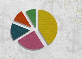The Importance of Diversification in Investment Portfolio Management news-05082024-164343