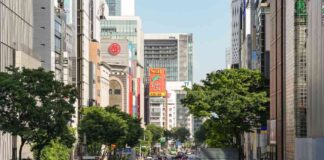 Nikkei Index Surges with Record Single-Day Jump in Points news-06082024-095730