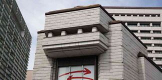 JP 225 Index Recovery Attempt After 20% Crash – Market Update news-06082024-215715