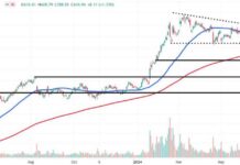 Monitoring Super Micro Computer Price Levels Post-Earnings Slump news-07082024-100224