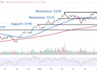Navigating SOXX ETF Price Levels in Volatile Chip Sector: A Guide news-08082024-102452