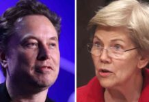 Addressing Elizabeth Warren’s Concerns: Tesla Board Under Scrutiny for Musk’s Corporate Ties news-09082024-223221