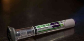 Eli Lilly Stock Surges Following Strong Earnings Report news-09082024-223325