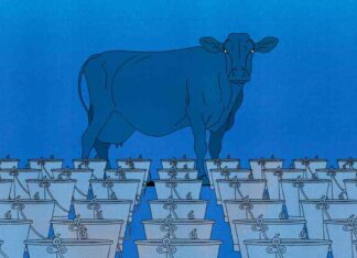 Fixing Wasteful EU Handouts: A Necessary Reform news-10082024-103305