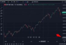 Bank Credit Analyst Predicts S&P 500 Collapse to 3,750 news-12082024-005639