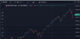 Bank Credit Analyst Predicts S&P 500 Collapse to 3,750 news-12082024-005639