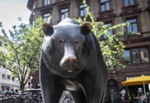 Bear Market Warning: David Roche Predicts Market Downturn in 2025 news-12082024-132452
