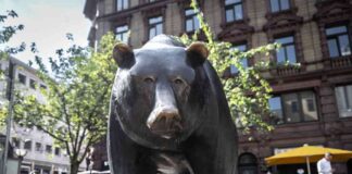 Bear Market Warning: David Roche Predicts Market Downturn in 2025 news-12082024-132452