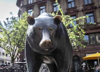Bear Market Warning: David Roche Predicts Market Downturn in 2025 news-12082024-132452