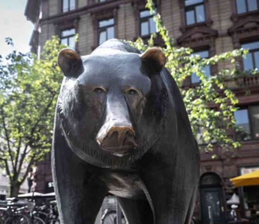 Bear Market Warning: David Roche Predicts Market Downturn in 2025 news-12082024-132452
