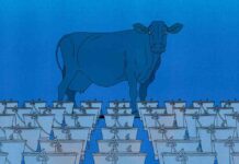 Fixing Wasteful EU Handouts: A Necessary Change news-13082024-195802