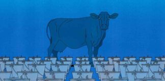 Fixing Wasteful EU Handouts: A Necessary Change news-13082024-195802