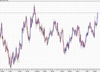 Euro Erases 2021 Losses: Latest Updates | Forexlive news-14082024-175940