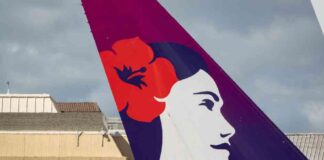 Hawaiian Holdings Stock Rises as Extended Review Boosts Outlook news-14082024-180122