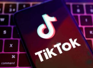 Are TikTok ‘Finfluencers’ Reliable Predictors of the AI Market? Credibility Concerns Explored news-16082024-081652