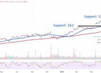Walmart Stock Price Analysis: Key Levels to Watch After Record Surge news-16082024-081757