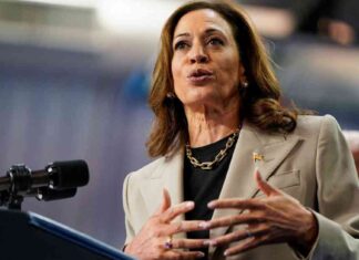 Harris Economic Plan: Tax Cuts, Housing Incentives, Price Caps news-16082024-141804