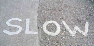 Navigating Market Sentiment: Inflation vs. Slowdown Concerns – Action Forex news-17082024-022004