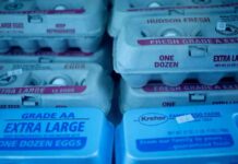 Rising Egg Prices Due to Bird Flu Outbreak: Latest Updates and Impact on Consumers news-17082024-202451