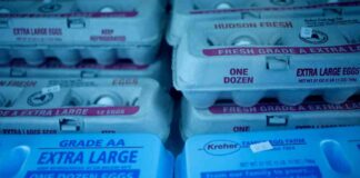 Rising Egg Prices Due to Bird Flu Outbreak: Latest Updates and Impact on Consumers news-17082024-202451