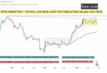 SOL Price Prediction 2021: Realistic & Unbiased Outlook for Cryptocurrency Investors news-18082024-124645