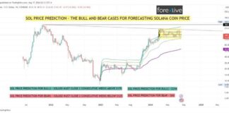 SOL Price Prediction 2021: Realistic & Unbiased Outlook for Cryptocurrency Investors news-18082024-124645