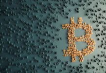 Iris Energy Stock Analysis: Future Growth Forecast for NASDAQ:IREN news-20082024-132318