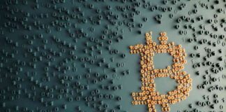 Iris Energy Stock Analysis: Future Growth Forecast for NASDAQ:IREN news-20082024-132318