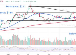 AMD Price Levels to Monitor After AI-Related Acquisition Surge news-20082024-132351