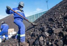 Coal vs Gold: A Comparison of Value and Sustainability news-20082024-132412