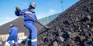 Coal vs Gold: A Comparison of Value and Sustainability news-20082024-132412