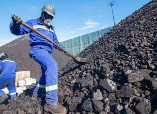 Coal vs Gold: A Comparison of Value and Sustainability news-20082024-132412