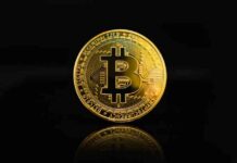 Bitcoin Price Analysis: Impact of Mt Gox on BTC/USD Stability and Future Trends news-21082024-190650