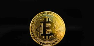 Bitcoin Price Analysis: Impact of Mt Gox on BTC/USD Stability and Future Trends news-21082024-190650