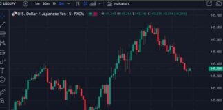 USD/JPY Forex News: Asia-Pacific FX Update with 80-Point Range news-22082024-070920