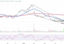 Monitoring Snowflake Stock Price Levels After Earnings Drop: Key Levels to Watch news-22082024-071036