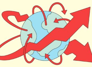 Can Services Drive Global Wealth Growth? news-22082024-071058