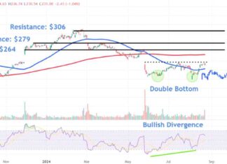 Workday Stock Price Analysis: Key Levels to Monitor Amid Strong Earnings Surge news-23082024-104607