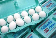 The Impact of America’s Anti-Price-Gouging Laws on Capitalism news-23082024-104631